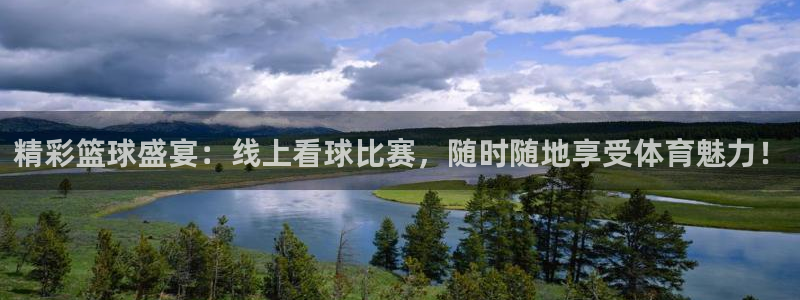 od体育入口：精彩篮球盛宴：线上看球比赛，随时随地享受体育魅