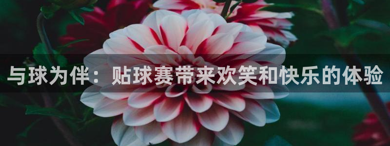 od体育官网登录：与球为伴：贴球赛带来欢笑和快乐的体验