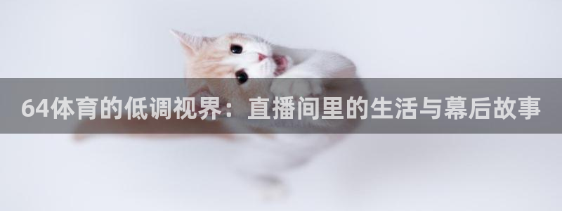 龙门直播体育：64体育的低调视界：直播间里的生活与幕后故事