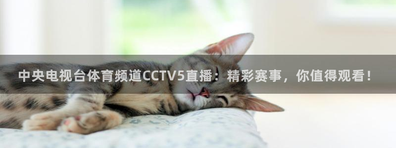 龙门直播体育直播：中央电视台体育频道CCTV5直播：精彩赛事，你值得观看！