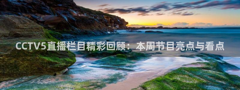 龙门直播间：CCTV5直播栏目精彩回顾：本周节目亮点与看点