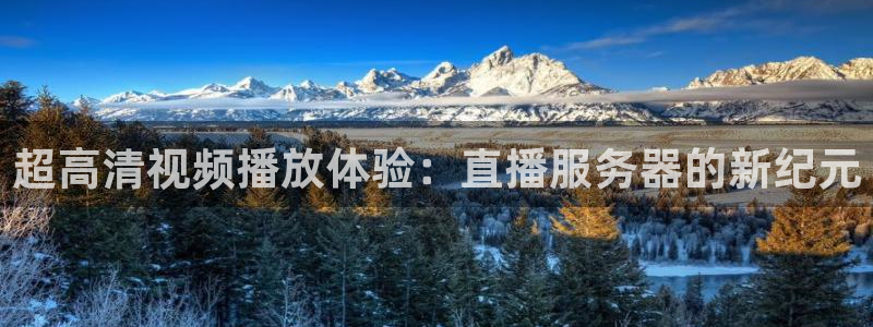 龙门直播间在线观看：超高清视频播放体验：直播服务器的新纪元