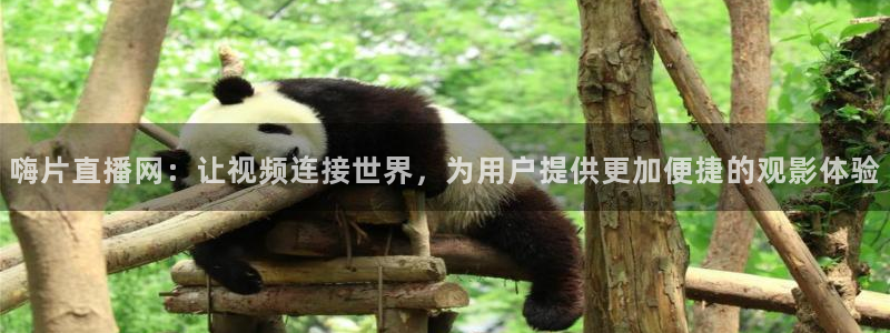 龙门比赛直播：嗨片直播网：让视频连接世界，为用户提供更加便捷的观影体验