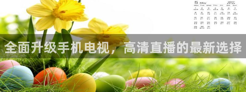 龙门直播nba免费直播入口