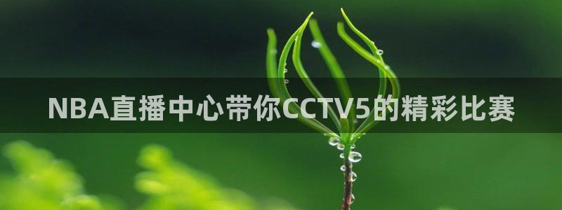 龙门直播app体育