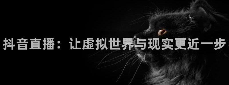龙门直播nba免费直播入口