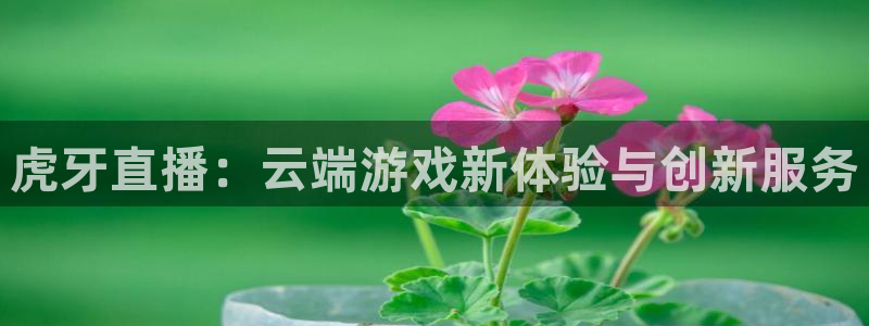 龙门镖局超清在线观看：虎牙直播：云端游戏新体验与创新服务
