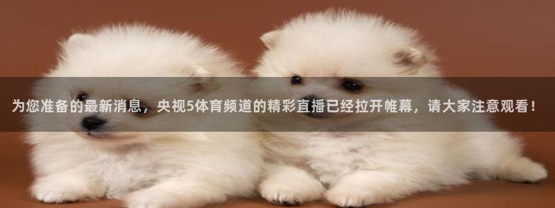 龙门直播app足球直播