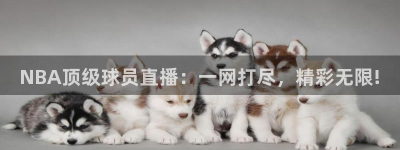178直播比赛在线观看龙门：NBA顶级球员直播：一网打尽，精彩无限!