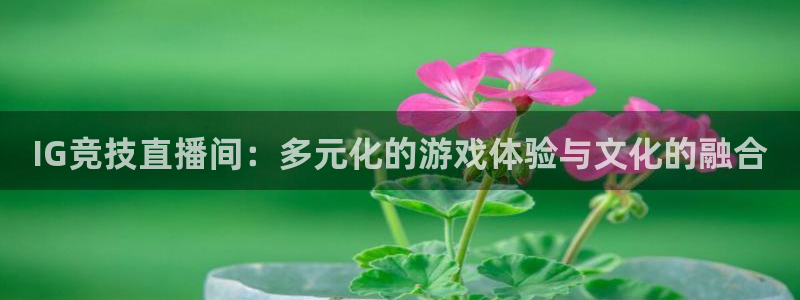龙门nba直播：IG竞技直播间：多元化的游戏体验与文化的融合